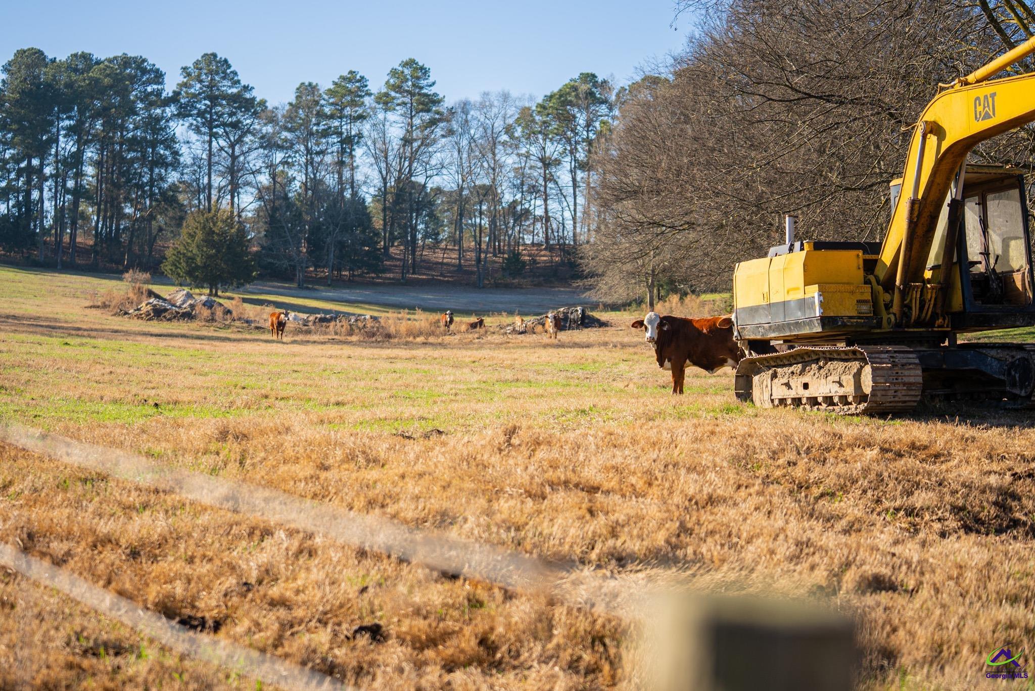 1092 Tommy Purvis Road Reynolds, GA 31076 - Photo 72 of 77