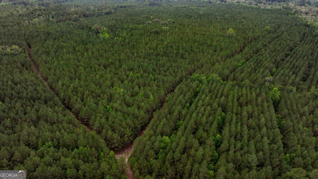 0 Highway 204 & Carlos Cowart Road Pembroke, GA 31321 - Photo 22 of 47