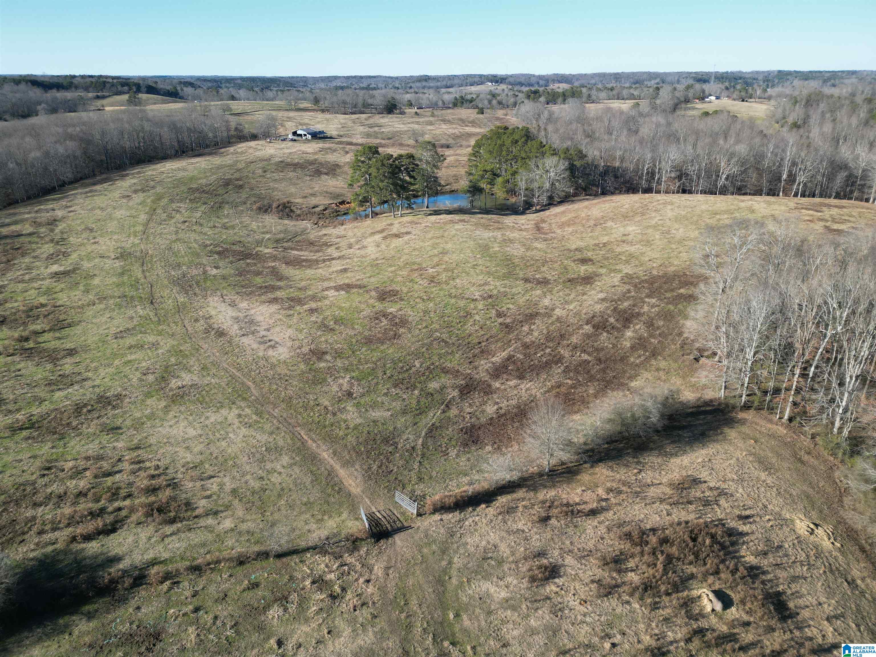 682 County Road 832 Logan, AL 35098 - Photo 26 of 48