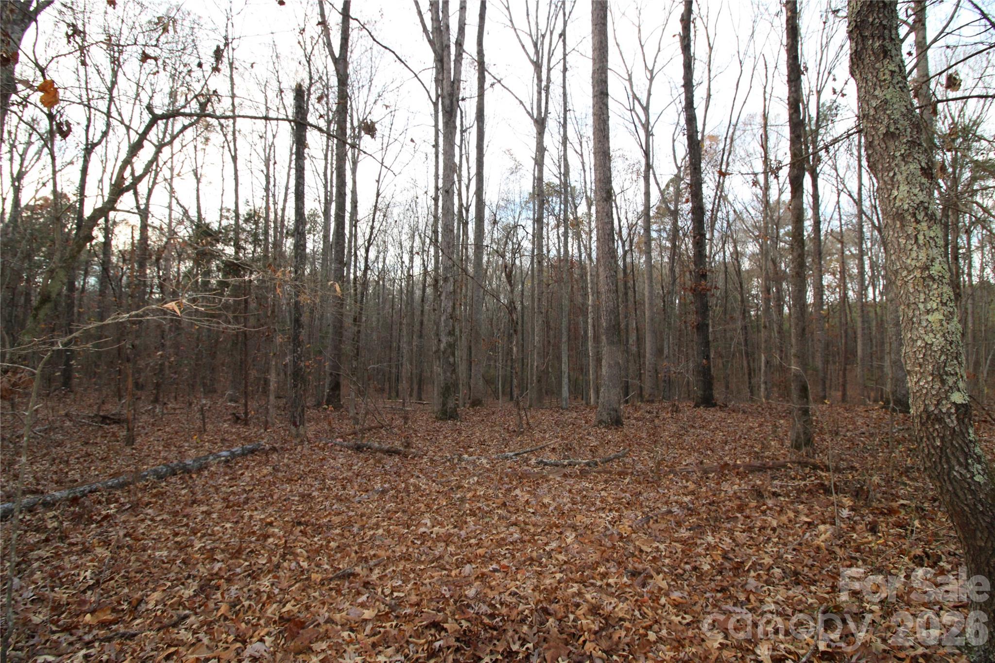 3-ac Lot 4 3-ac Road York, SC 29745 - Photo 2 of 6