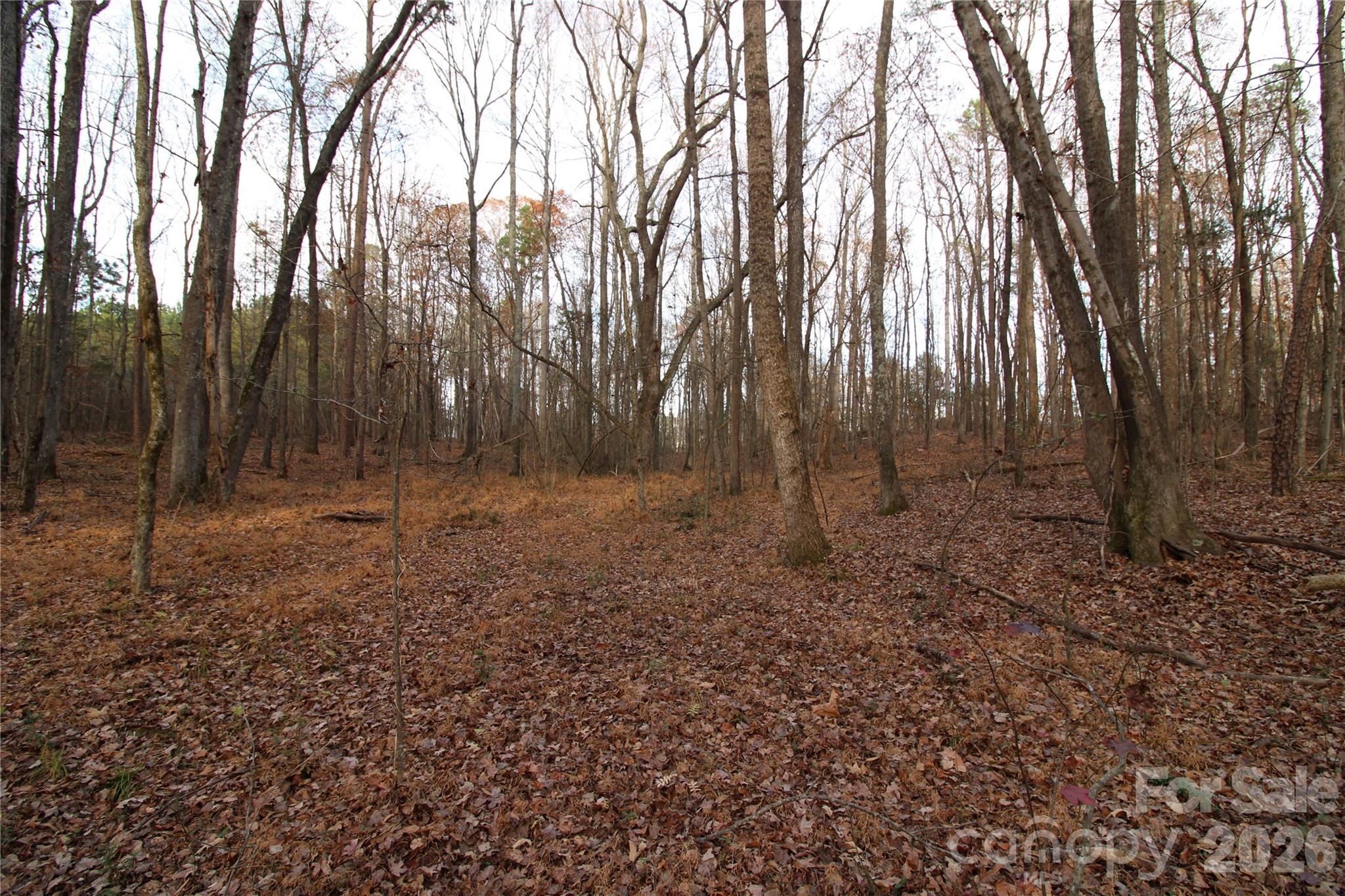 3-ac Lot 4 3-ac Road York, SC 29745 - Photo 3 of 6