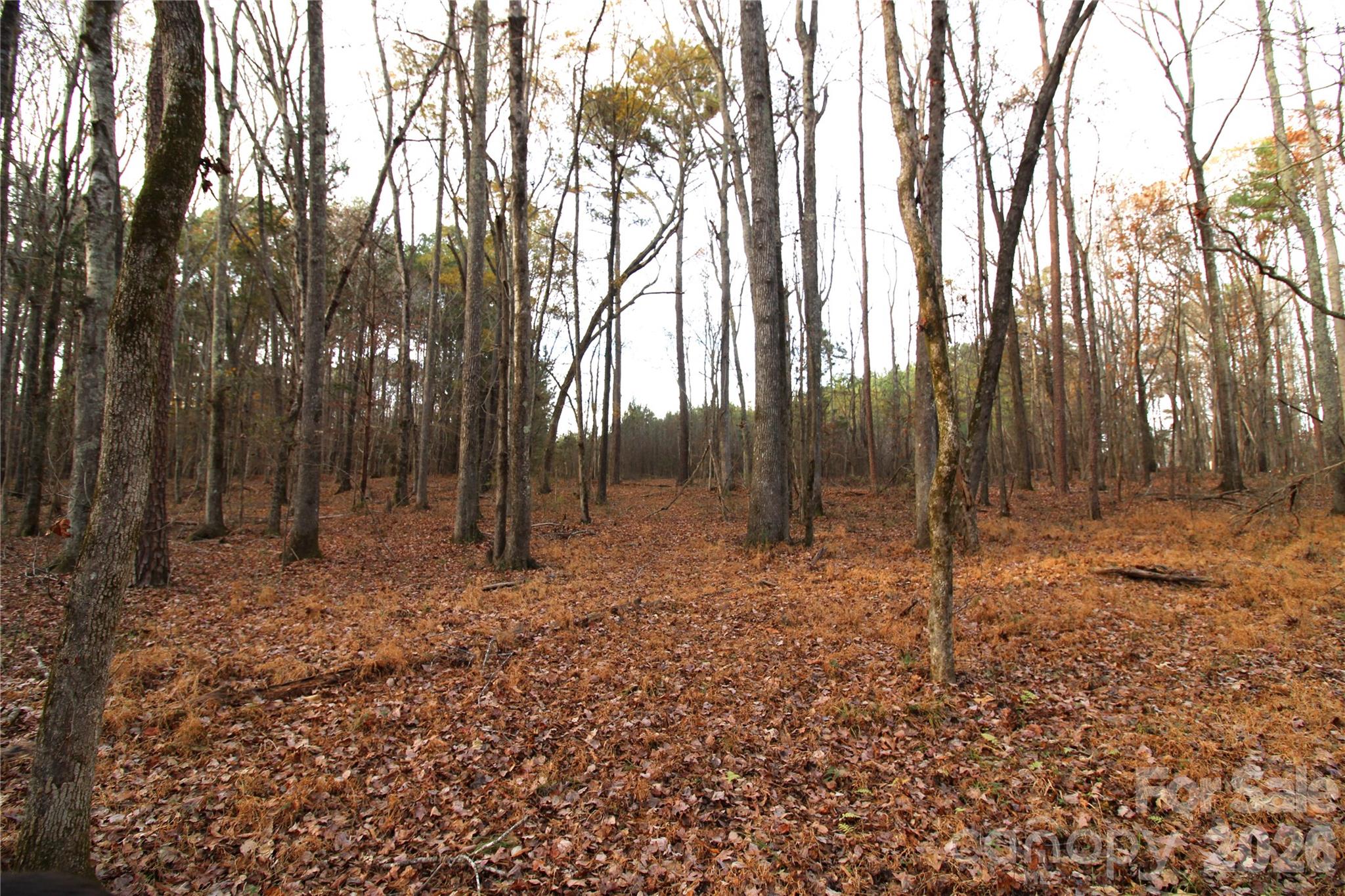 3-ac Lot 4 3-ac Road York, SC 29745 - Photo 4 of 6
