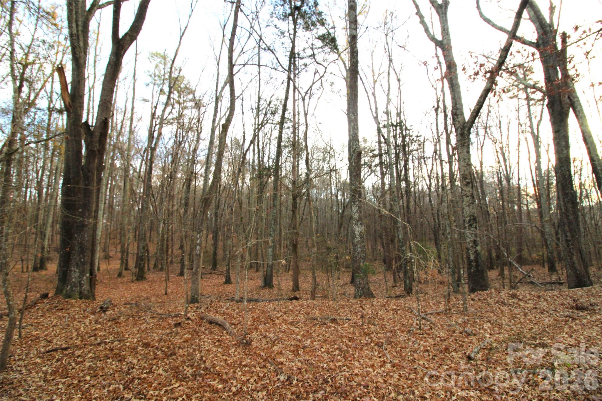 3-ac Lot 4 3-ac Road York, SC 29745 - Photo 5 of 6