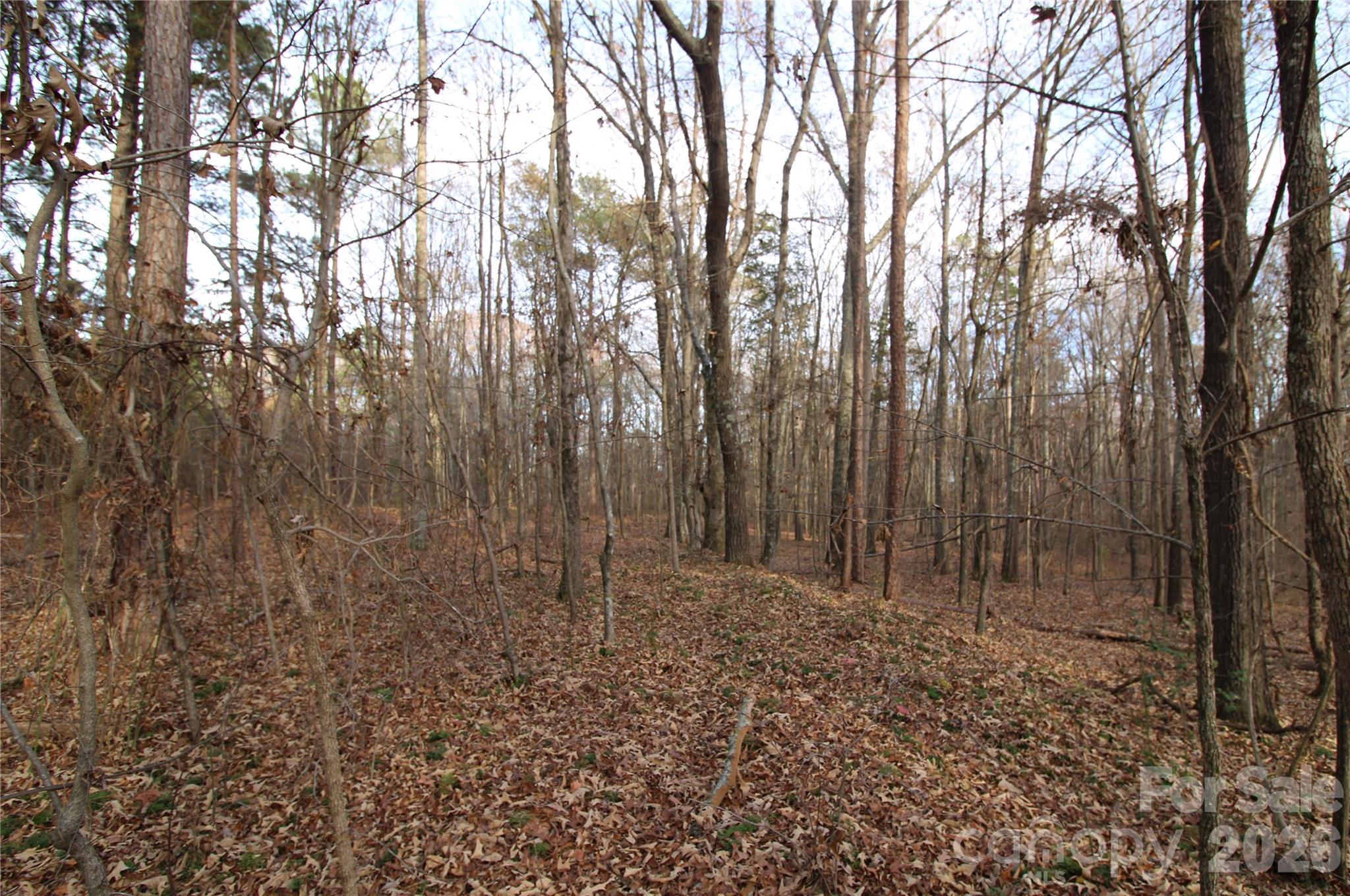 3-ac Lot 4 3-ac Road York, SC 29745 - Photo 6 of 6