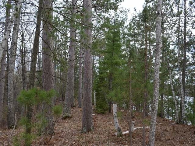 Lot 3 Forrester Road Tomahawk, WI 54487 - Photo 15 of 20 Gallery Image 15