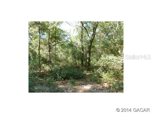 0 Mandarin Lake Road Melrose, FL 32666 - Photo 1 of 1 Gallery Image 1