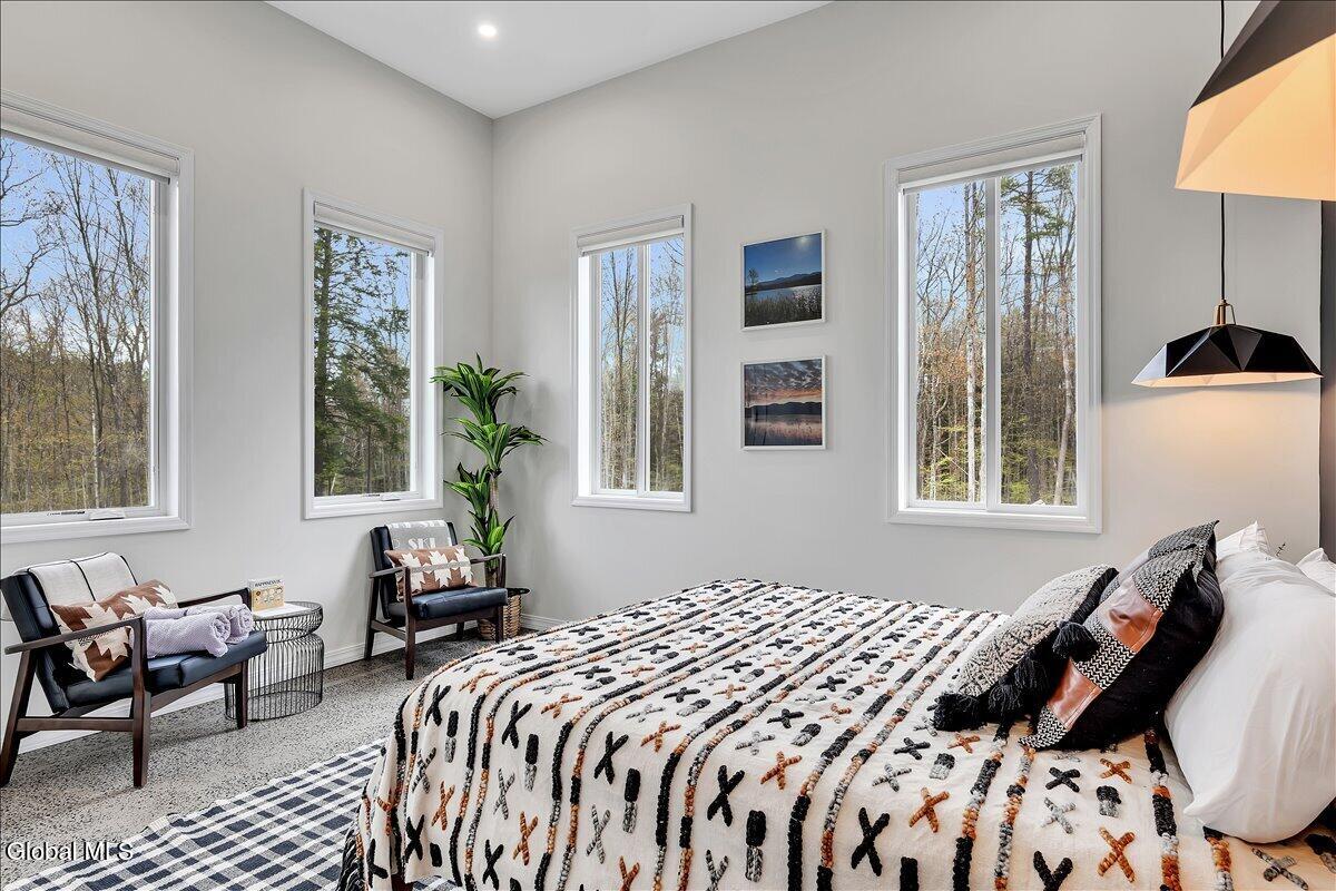 145 Rockefeller Lake Road Cairo, NY 12413 - Photo 45 of 76 75-P1126151