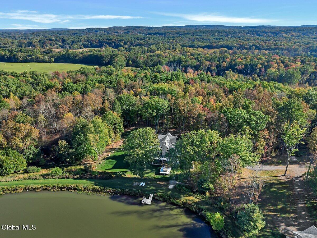145 Rockefeller Lake Road Cairo, NY 12413 - Photo 75 of 76 DJI_20251007093744_0111_D