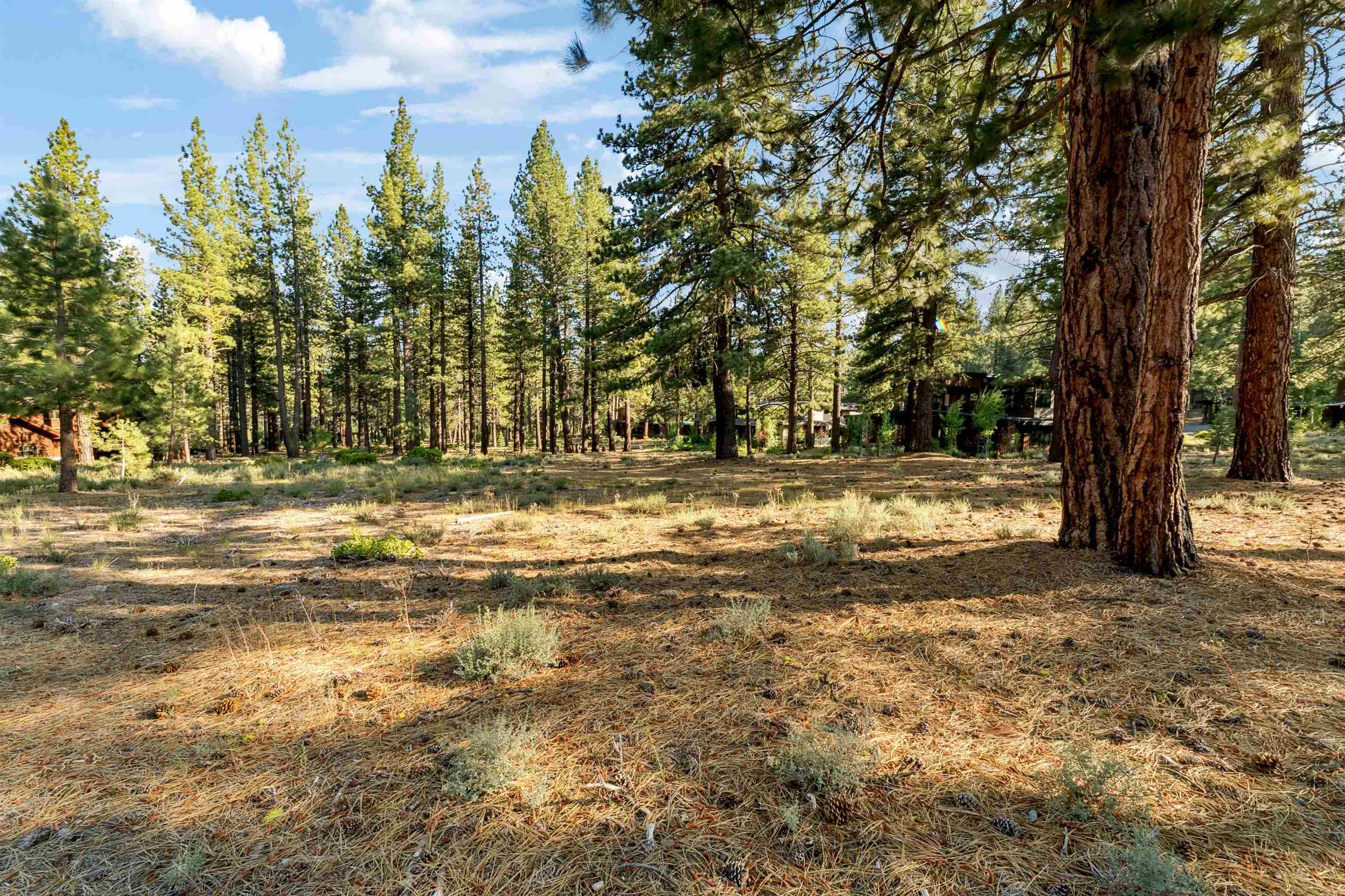 11655 Kelley Drive Truckee, CA 96161 - Photo 11 of 15 a view of swimming pool with a yard