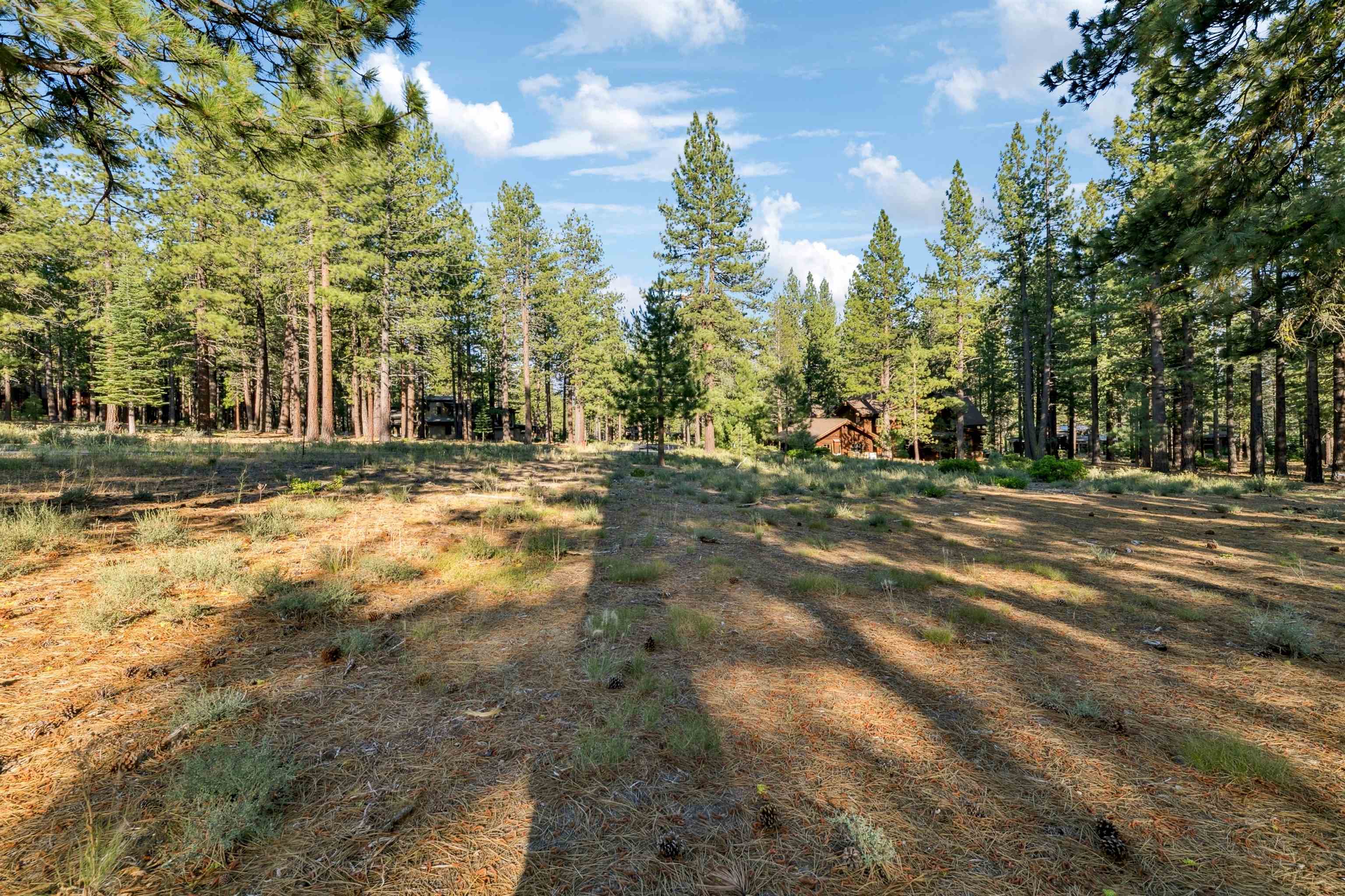 11655 Kelley Drive Truckee, CA 96161 - Photo 12 of 15 a view of road with trees