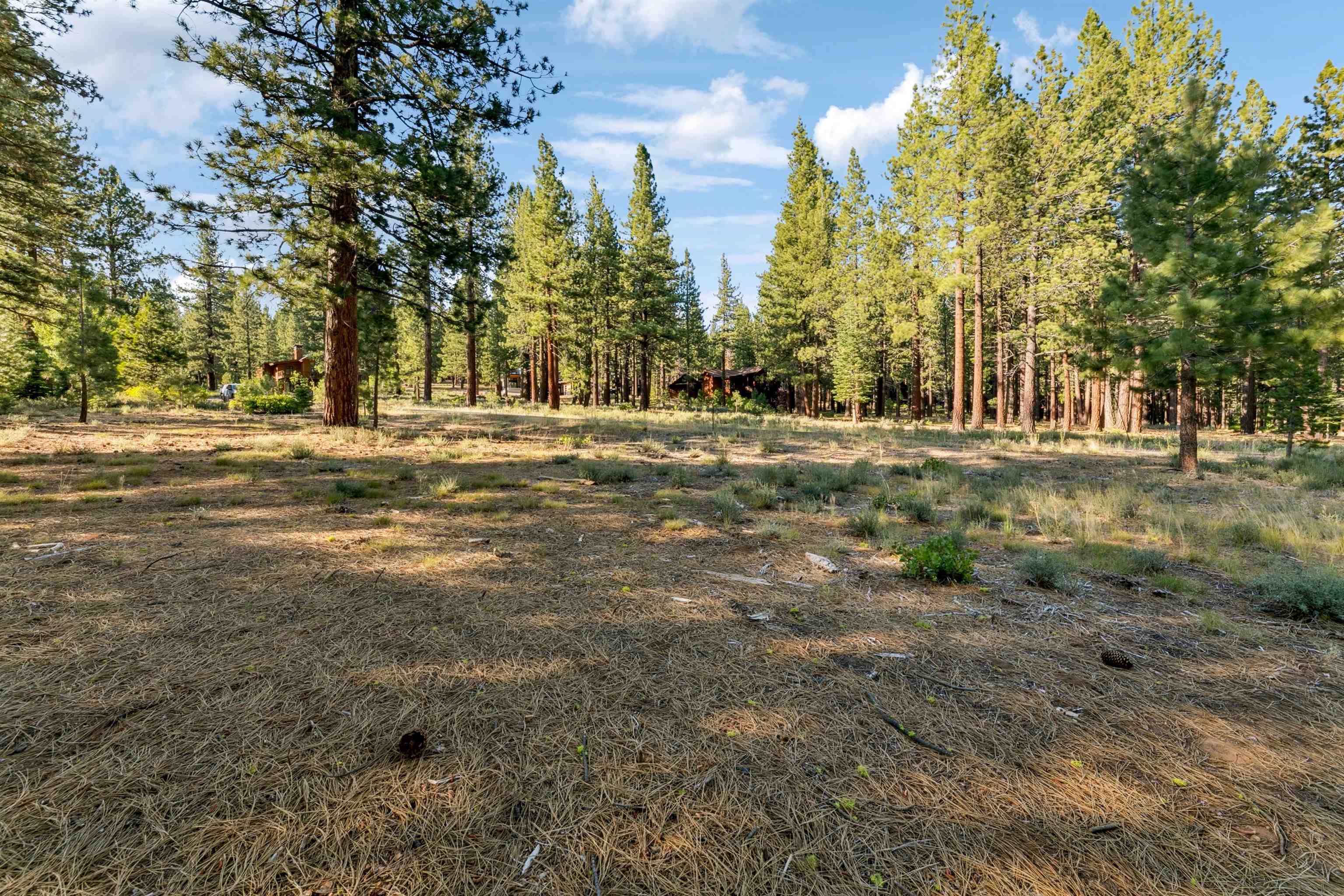 11655 Kelley Drive Truckee, CA 96161 - Photo 13 of 15 a backyard of a house with large trees