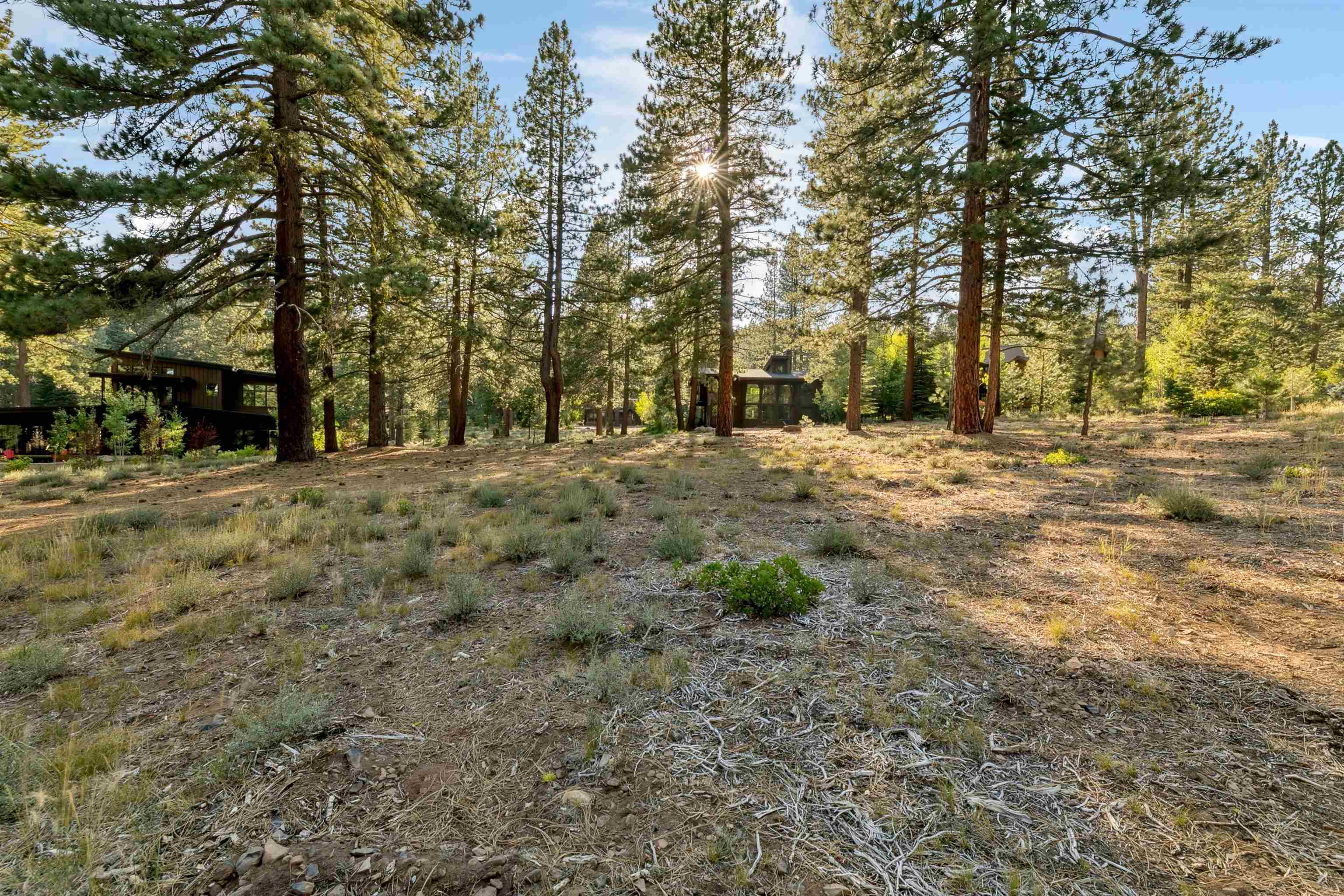 11655 Kelley Drive Truckee, CA 96161 - Photo 14 of 15 a view of a yard with trees