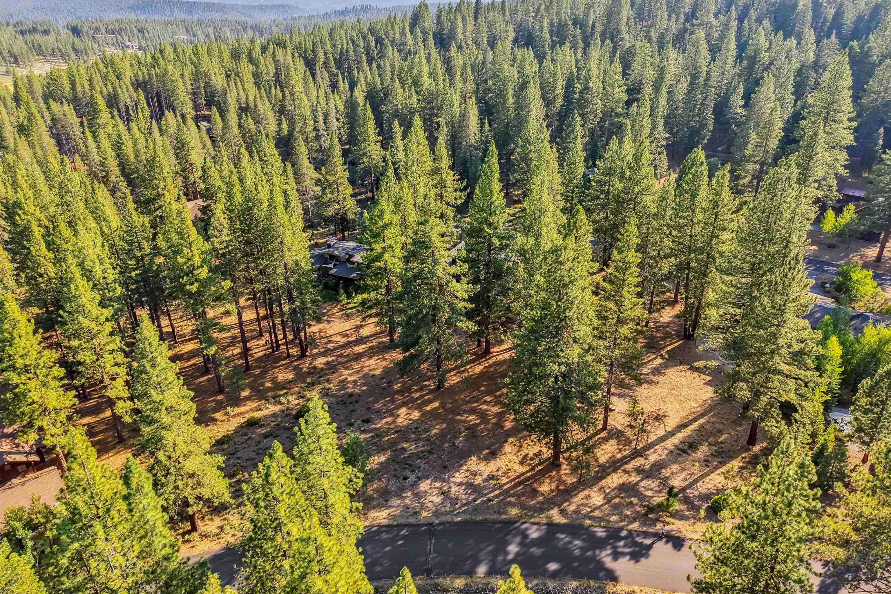 11655 Kelley Drive Truckee, CA 96161 - Photo 2 of 15 a view of a garden with plants