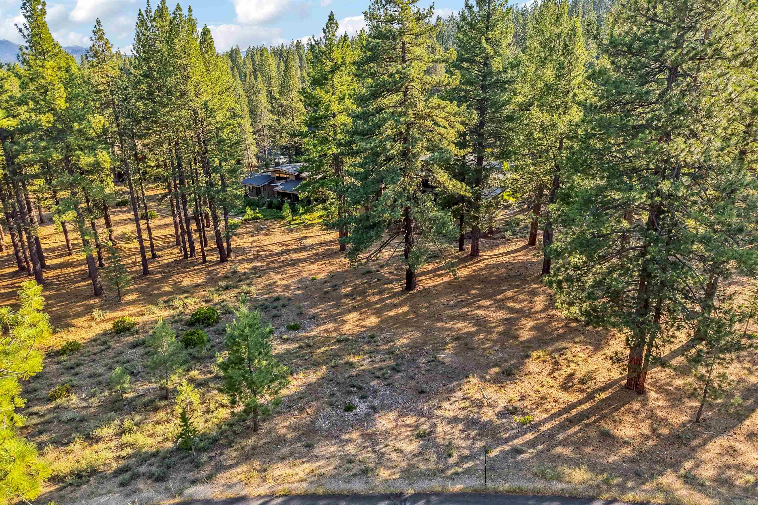 11655 Kelley Drive Truckee, CA 96161 - Photo 3 of 15 a view of a forest with trees
