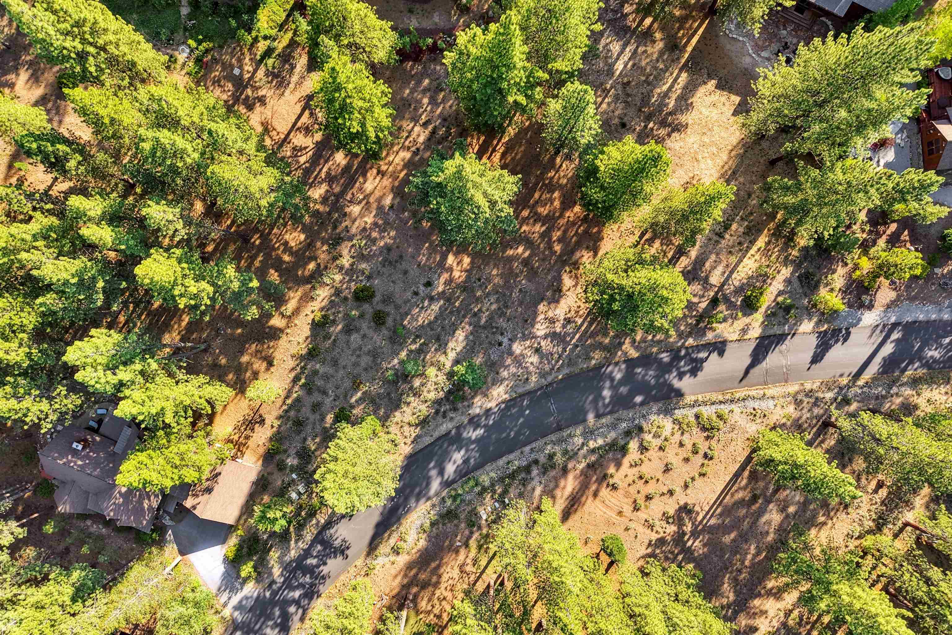 11655 Kelley Drive Truckee, CA 96161 - Photo 5 of 15 a backyard of a house