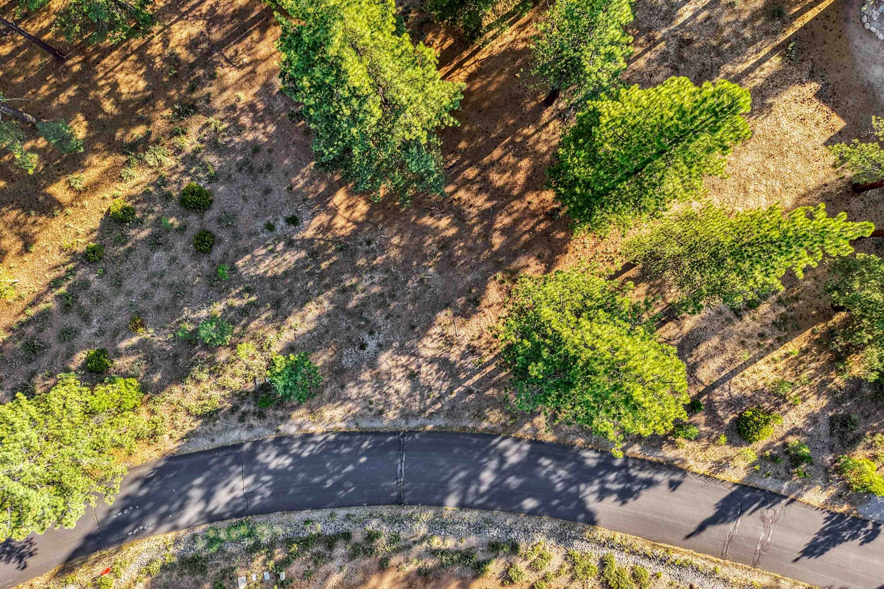11655 Kelley Drive Truckee, CA 96161 - Photo 6 of 15 a view of a tree