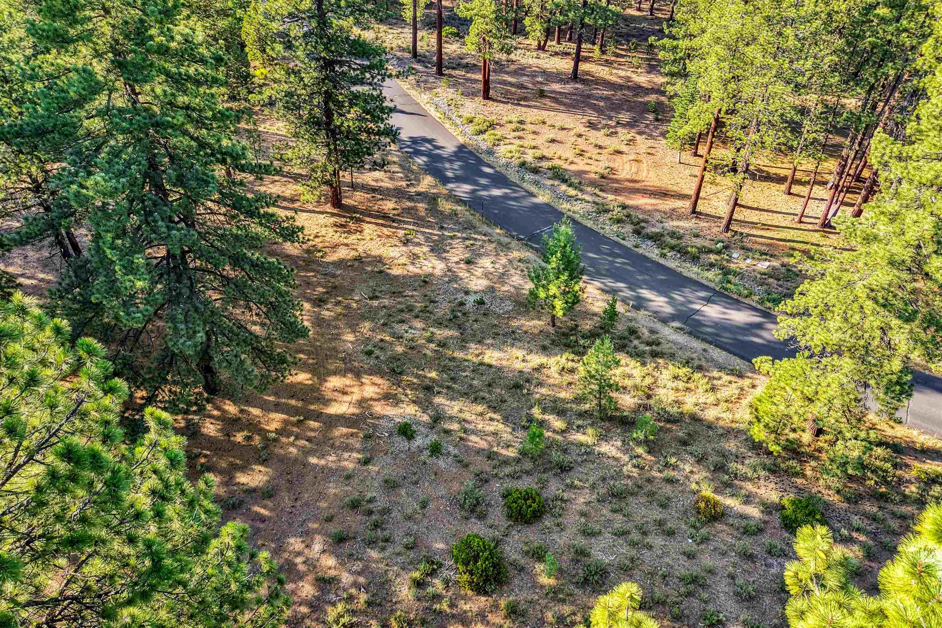 11655 Kelley Drive Truckee, CA 96161 - Photo 7 of 15 a view of a yard with plants and large trees
