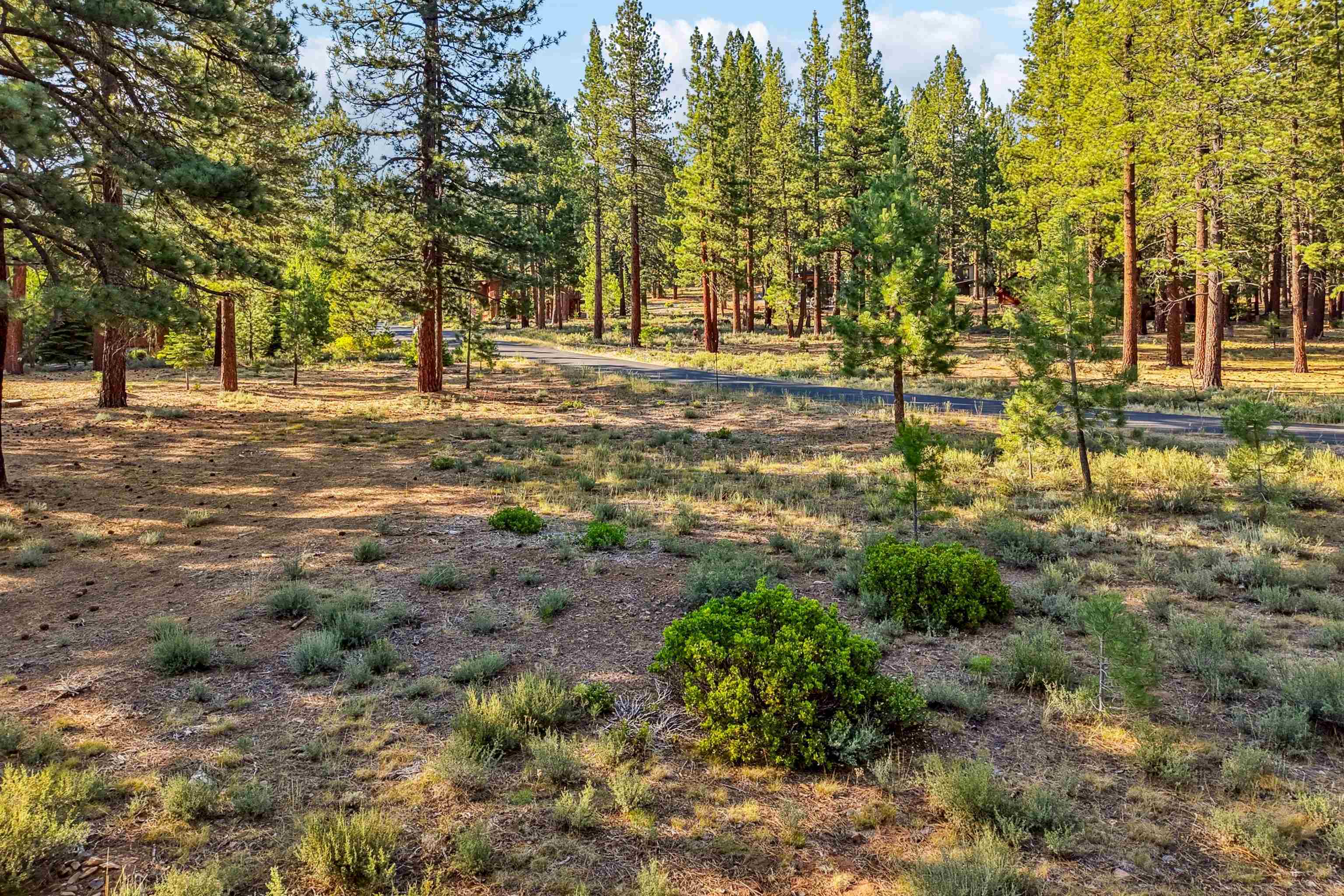 11655 Kelley Drive Truckee, CA 96161 - Photo 8 of 15 a view of outdoor space with trees