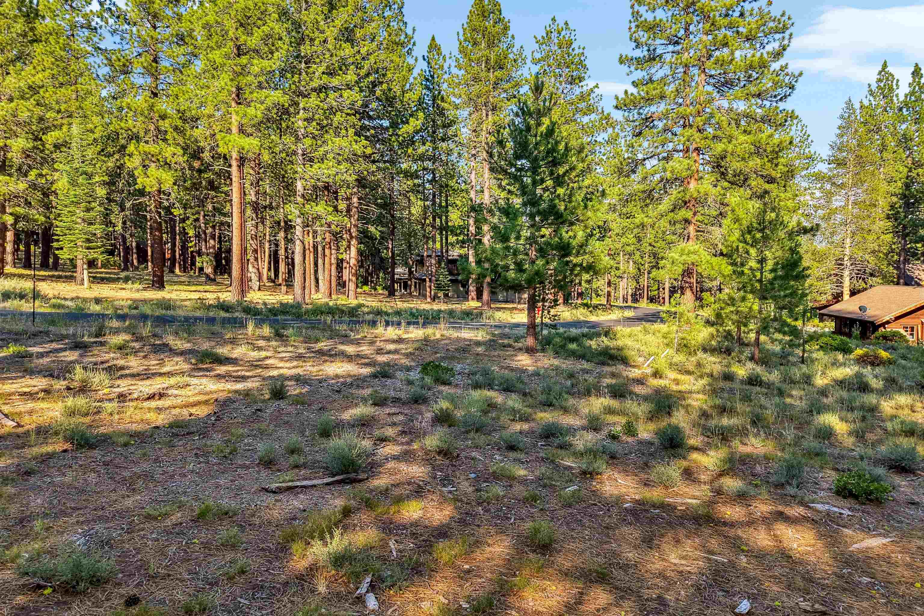 11655 Kelley Drive Truckee, CA 96161 - Photo 9 of 15 a view of a yard with a tree