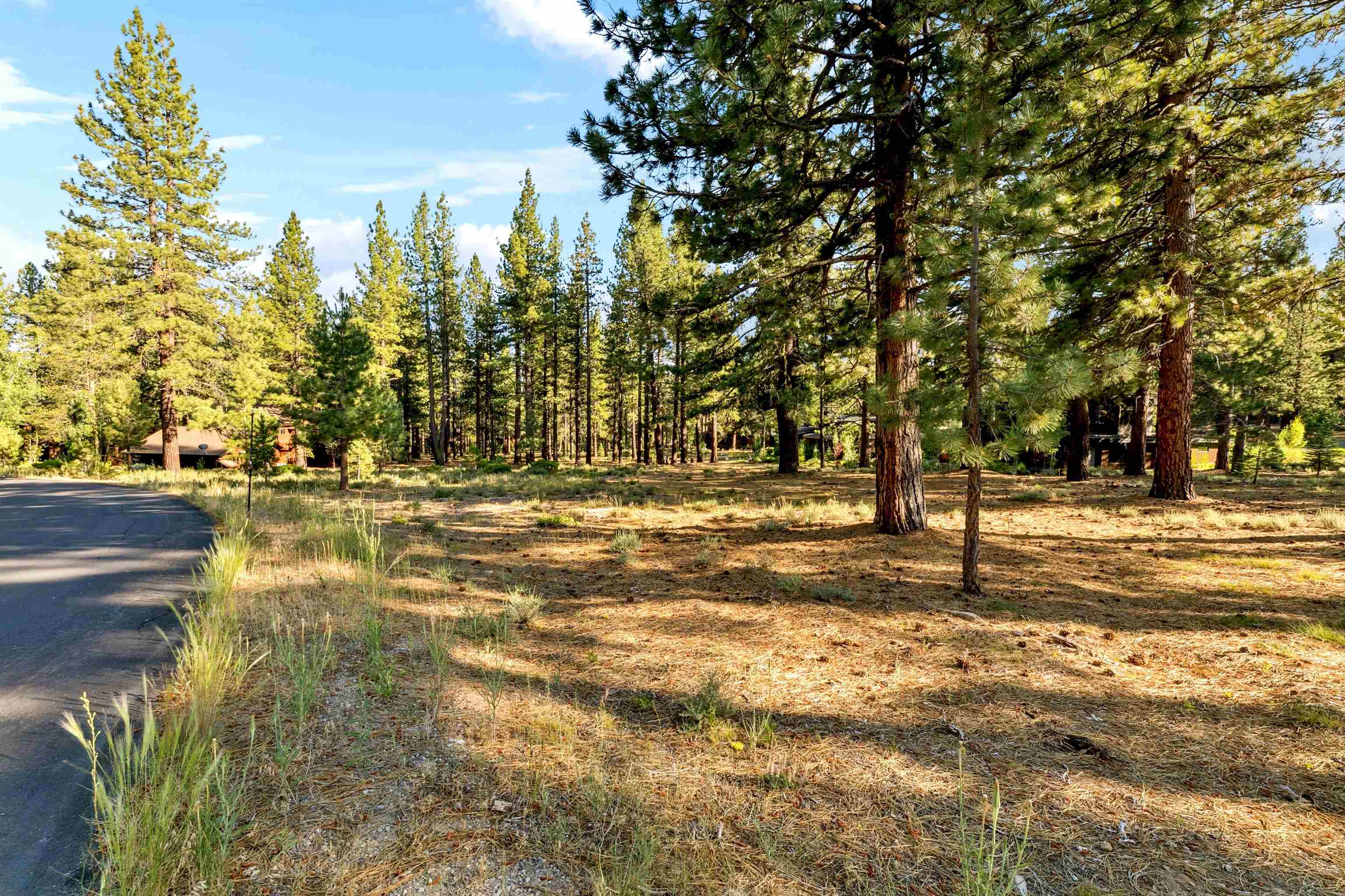 11655 Kelley Drive Truckee, CA 96161 - Photo 10 of 15 a view of yard with tree