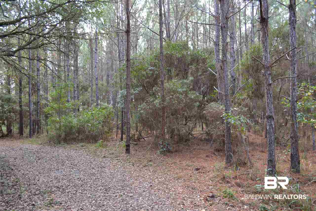 20751 Keller Road Foley, AL 36535 - Photo 44 of 44