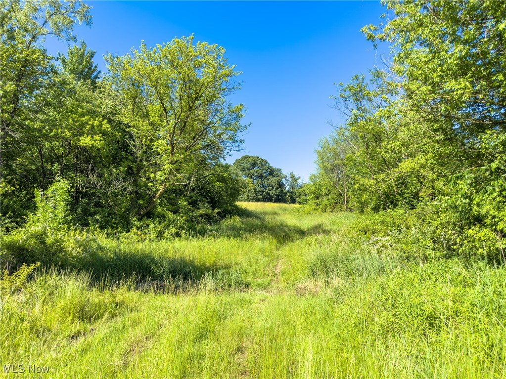 0 Taylor Road Doylestown, OH 44230 - Photo 6 of 22 View of landscape