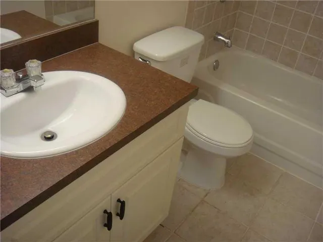 a bathroom with a sink and toilet