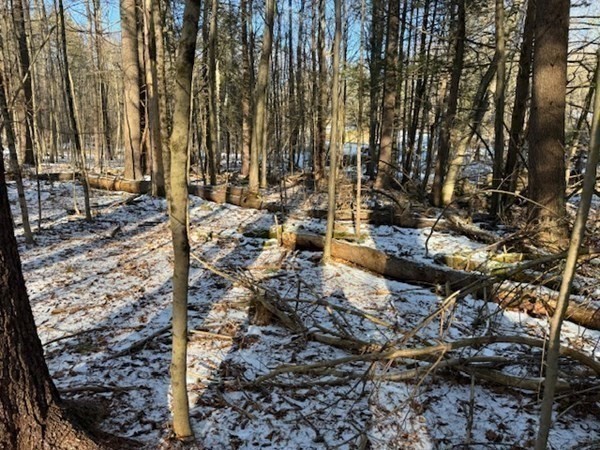 0 Mathews Road South Deerfield, MA 01373 - Photo 14 of 23 Gallery Image 14