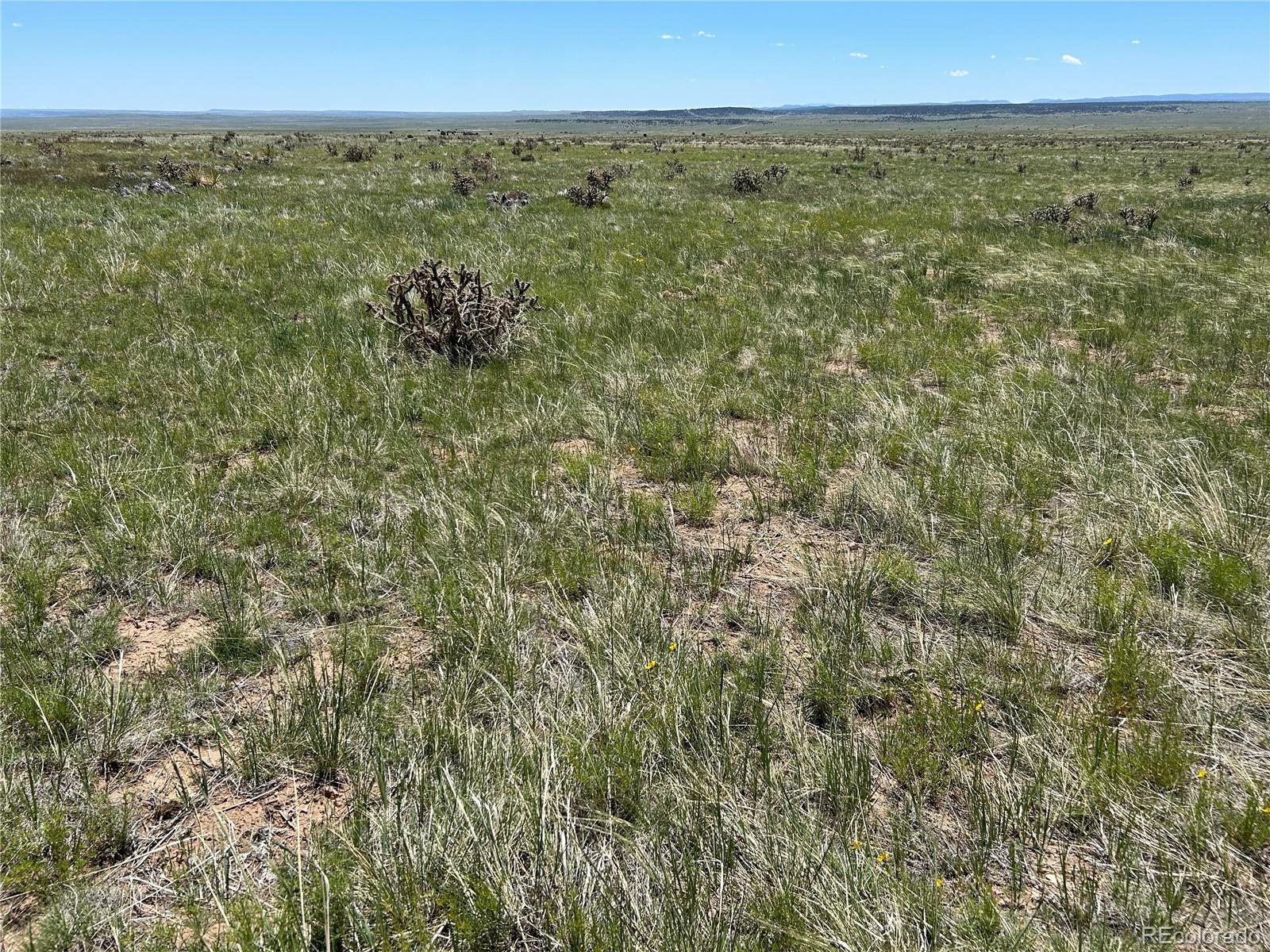 Lot 126 Cl&l Ranch, Unit G Rye, CO 81069 - Photo 11 of 16 a view of a green field with lots of bushes