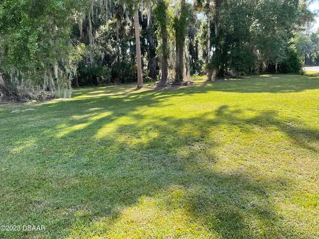 a view of a swimming pool and trees in the background