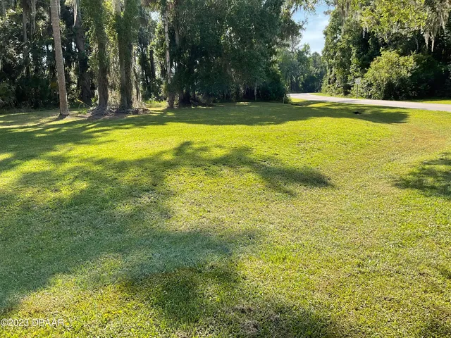 a view of outdoor space with trees all around