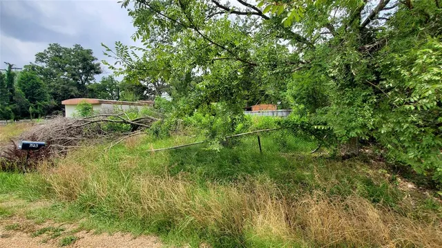 a backyard of a house with lots of green space and trees