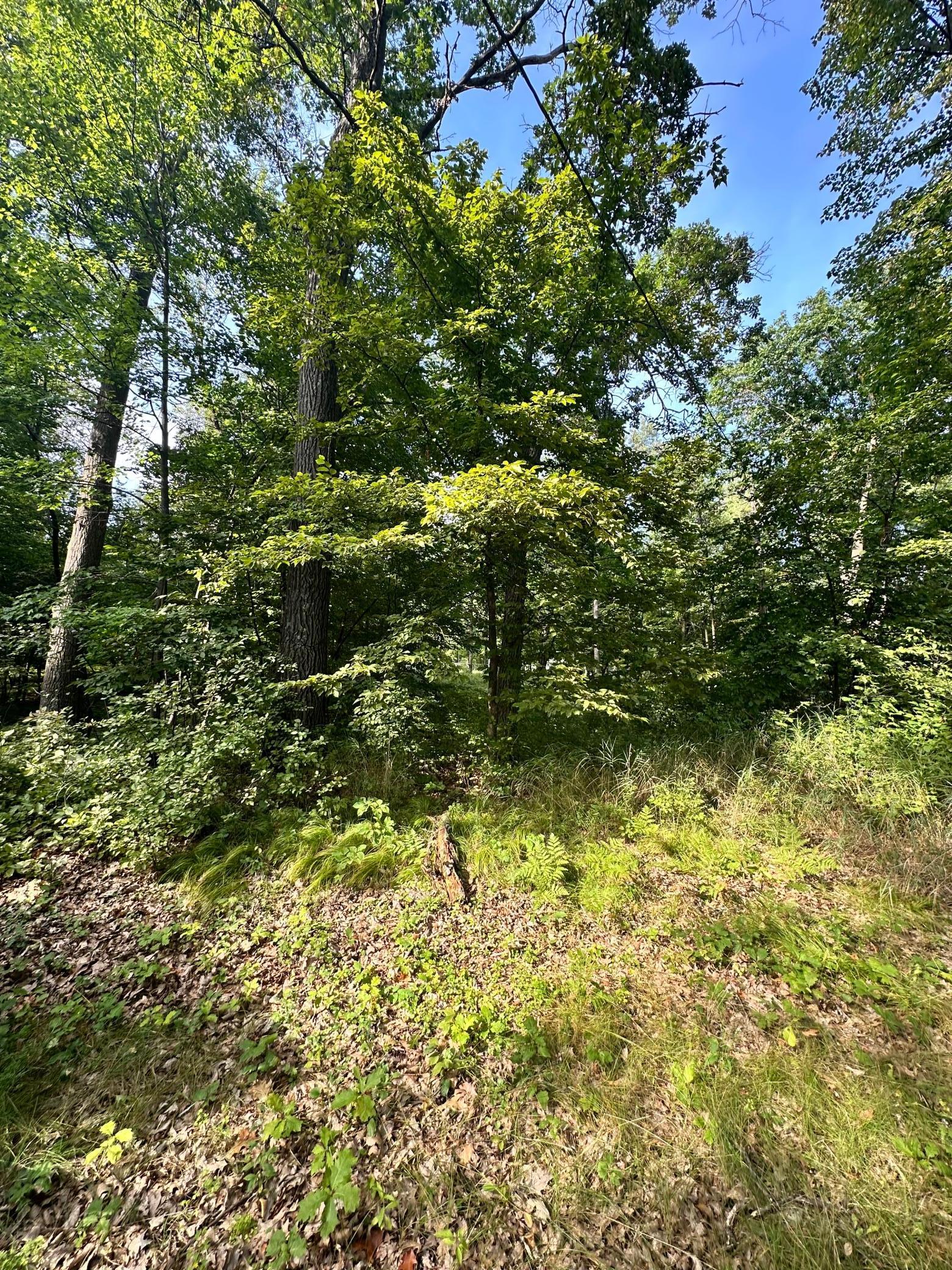 21107 Night Hawk Lane Brainerd, MN 56401 - Photo 6 of 16