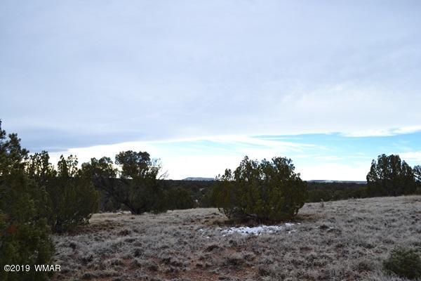 9157 Concho Az 85924 Concho, AZ 85924 - Photo 13 of 19 a view of mountain with sunset in background
