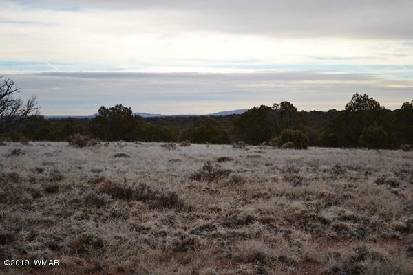 9157 Concho Az 85924 Concho, AZ 85924 - Photo 15 of 19 a view of lake and mountain