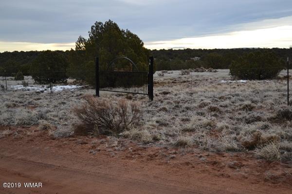 9157 Concho Az 85924 Concho, AZ 85924 - Photo 16 of 19 a view of a dry yard with mountain
