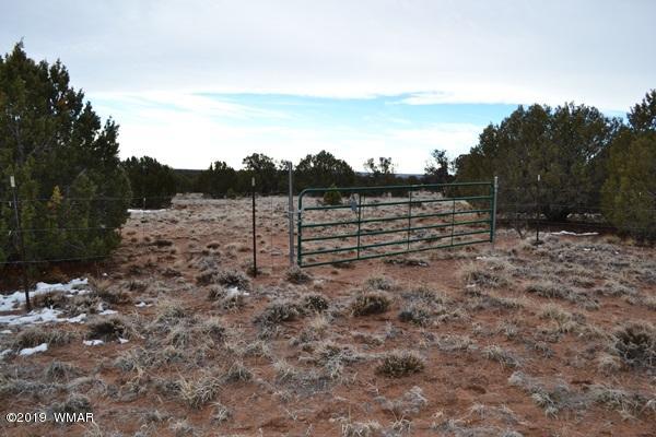9157 Concho Az 85924 Concho, AZ 85924 - Photo 17 of 19 a view of outdoor space with mountain view