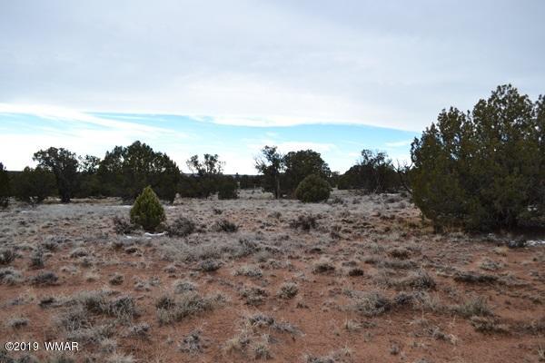 9157 Concho Az 85924 Concho, AZ 85924 - Photo 2 of 19 a view of a dry field with trees in background