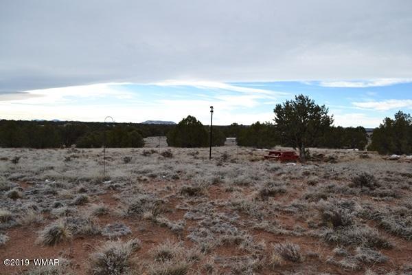 9157 Concho Az 85924 Concho, AZ 85924 - Photo 3 of 19 a view of a dry grass field