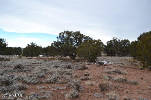 9157 Concho Az 85924 Concho, AZ 85924 - Photo 4 of 19 a view of a dry yard with trees