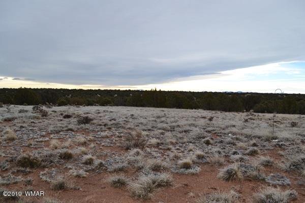 9157 Concho Az 85924 Concho, AZ 85924 - Photo 5 of 19 a view of mountain with beach