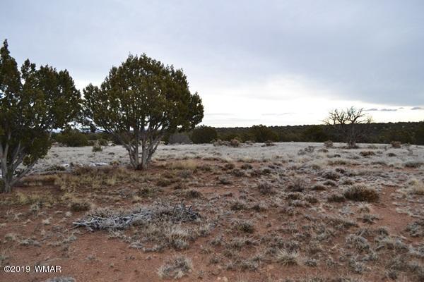 9157 Concho Az 85924 Concho, AZ 85924 - Photo 6 of 19 a view of a dry yard with trees