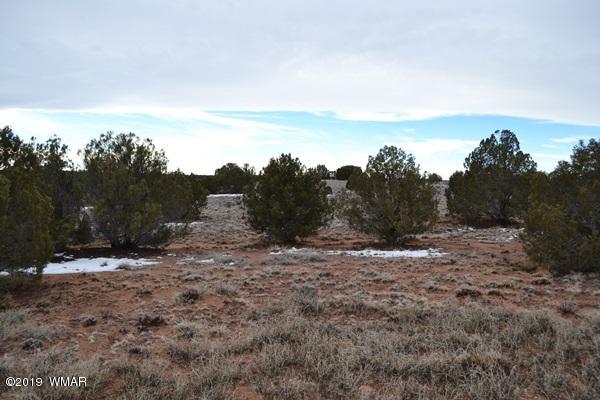 9157 Concho Az 85924 Concho, AZ 85924 - Photo 8 of 19 a view of a dry yard with trees