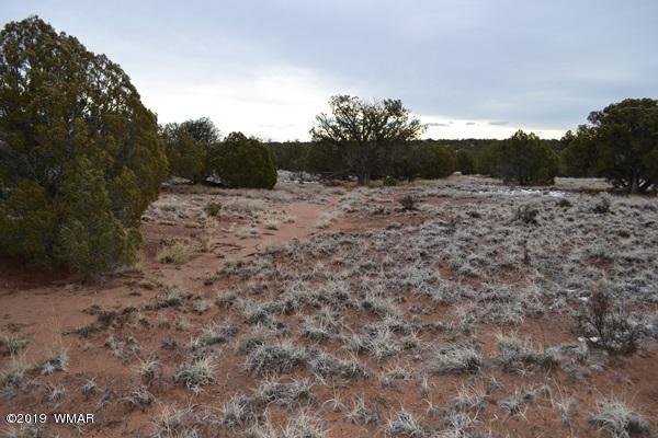 9157 Concho Az 85924 Concho, AZ 85924 - Photo 9 of 19 a view of a yard with a tree