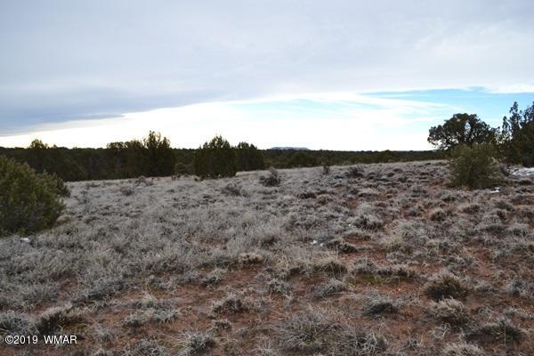 9157 Concho Az 85924 Concho, AZ 85924 - Photo 10 of 19