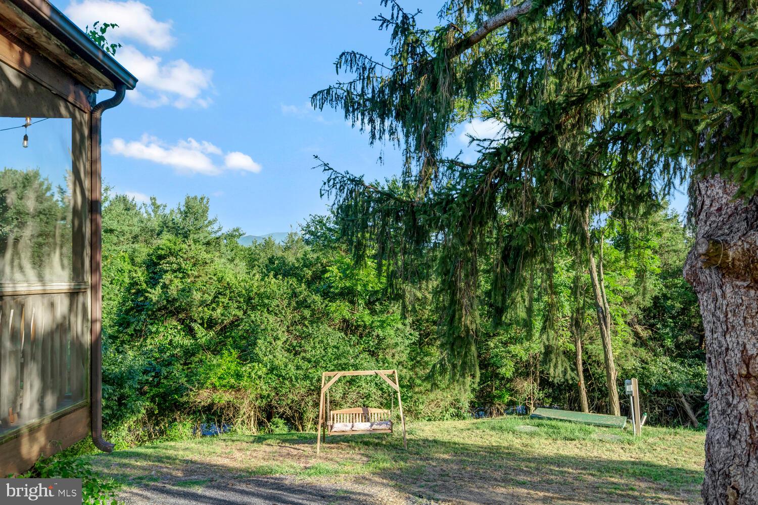 6235 South Page Valley Road Luray, VA 22835 - Photo 39 of 52 Tranquil retreat by the trees.
