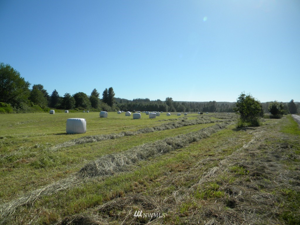 0 Mooney Road Montesano, WA 98563 - Photo 1 of 18 Gallery Image 1
