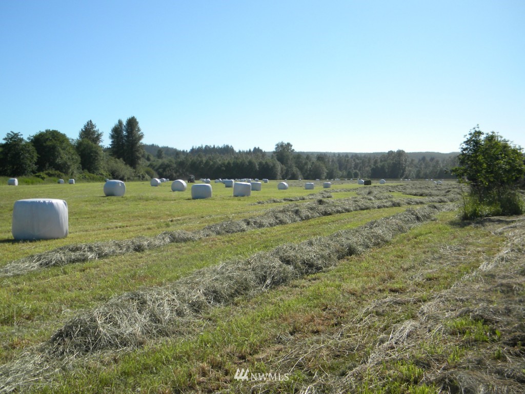 0 Mooney Road Montesano, WA 98563 - Photo 2 of 18 Gallery Image 2