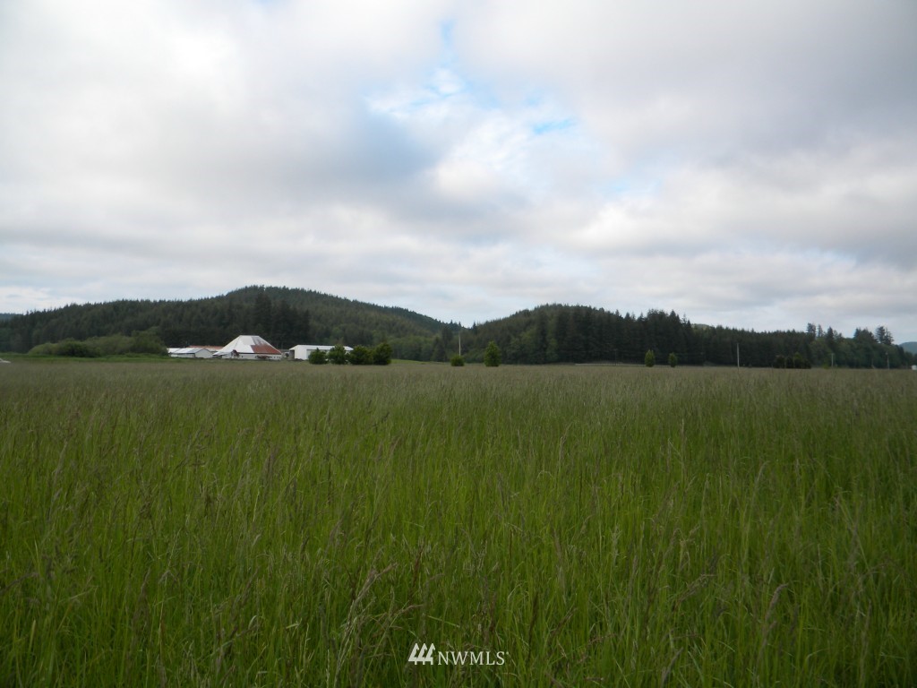 0 Mooney Road Montesano, WA 98563 - Photo 13 of 18 Gallery Image 13