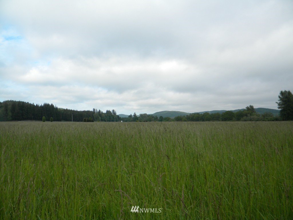 0 Mooney Road Montesano, WA 98563 - Photo 14 of 18 Gallery Image 14